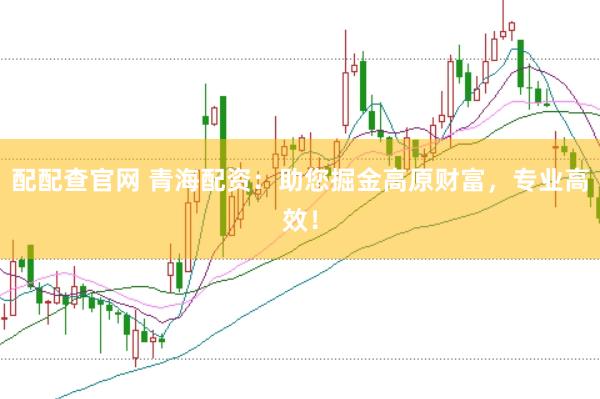 配配查官网 青海配资：助您掘金高原财富，专业高效！