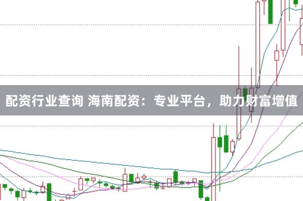 配资行业查询 海南配资：专业平台，助力财富增值