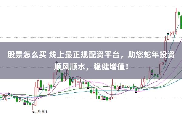 股票怎么买 线上最正规配资平台，助您蛇年投资顺风顺水，稳健增值！