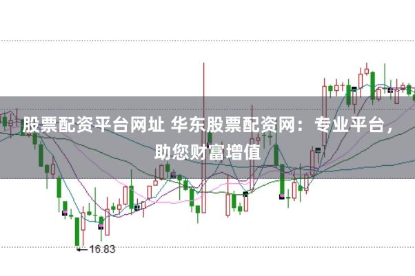 股票配资平台网址 华东股票配资网：专业平台，助您财富增值