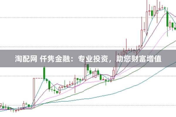 淘配网 仟隽金融：专业投资，助您财富增值