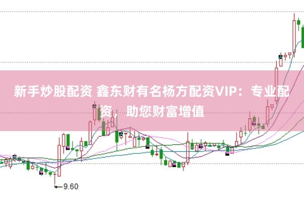 新手炒股配资 鑫东财有名杨方配资VIP：专业配资，助您财富增值