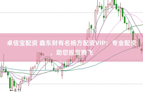 卓信宝配资 鑫东财有名杨方配资VIP：专业配资，助您投资腾飞