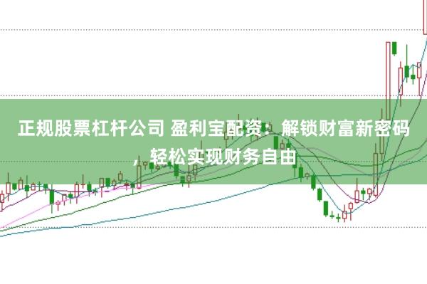 正规股票杠杆公司 盈利宝配资:解锁财富新密码,轻松实现财务自由