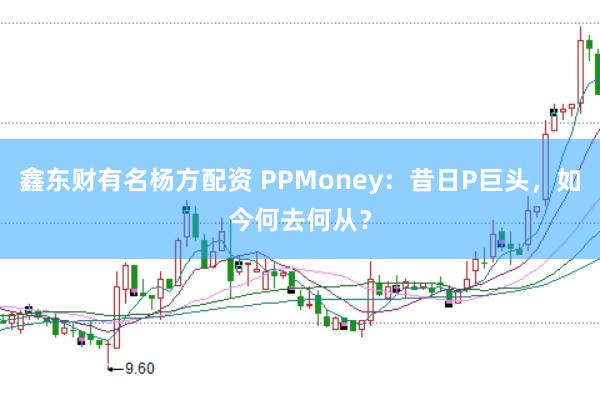 鑫东财有名杨方配资 PPMoney：昔日P巨头，如今何去何从？