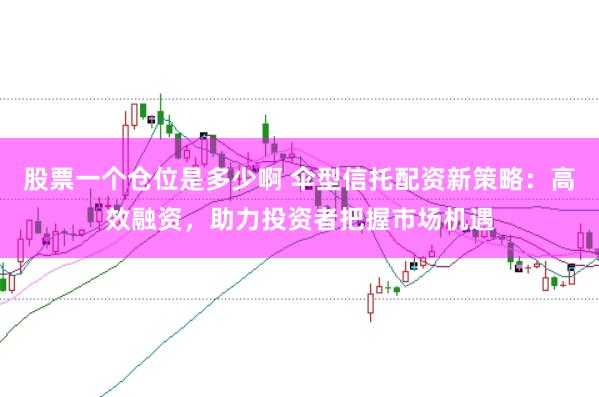 股票一个仓位是多少啊 伞型信托配资新策略：高效融资，助力投资者把握市场机遇
