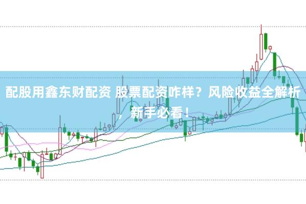 配股用鑫东财配资 股票配资咋样？风险收益全解析，新手必看！